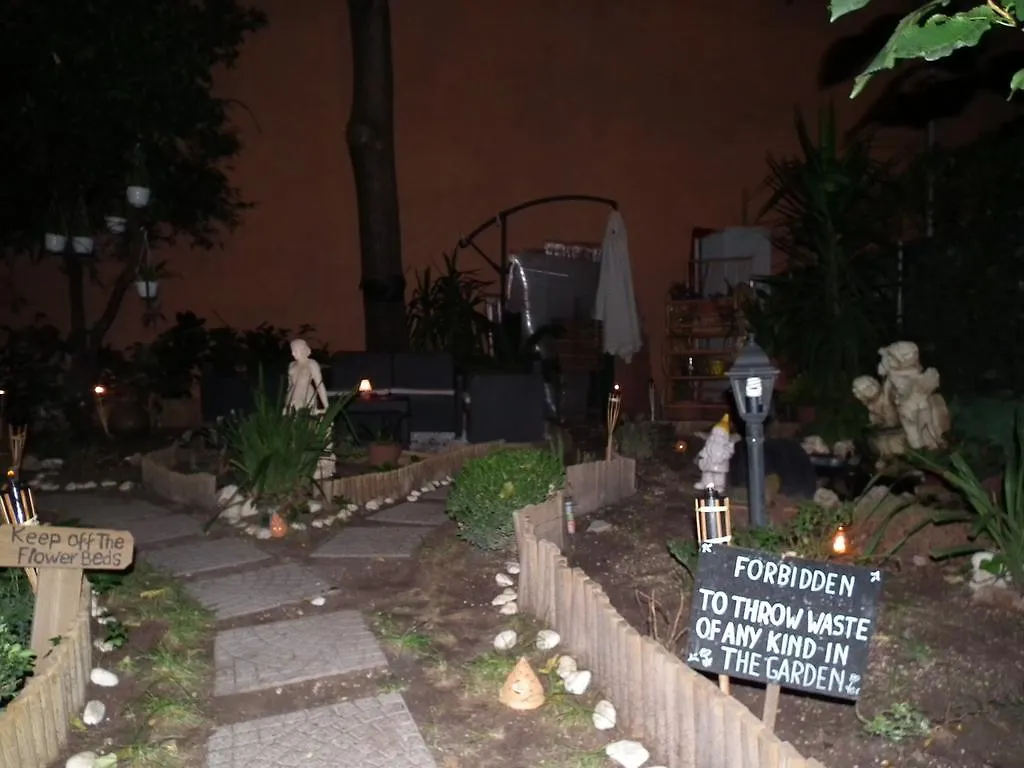 Aladino Inn Rome Guest house